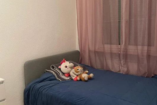 Charmante Altbauwohnung nahe dem Wöhrder See in Nürnberg